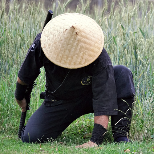 bujutsu japanische-kampfkunst-ninjutsu-selbstverteidigung-waffenkampf-wels-linz-01